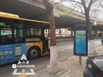 有站没牌 有牌没站：这些站牌混乱的公交你常坐吗 - 新浪黑龙江
