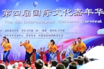 国际文化嘉年华在哈工大校园上演世界文化“盛宴” - 哈尔滨工业大学