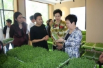 全国妇联副主席谭琳在黑龙江调研农村妇女集体成员权益维护工作 - 妇女联合会