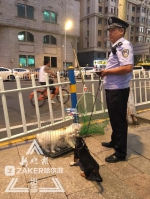 哈市俩月处罚184起违规养犬 中央大街江边等禁止遛犬 - 新浪黑龙江