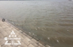 黑龙江18至20日有暴雨 入汛后全省平均降水同比增37.5% - 新浪黑龙江