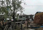 树倒房毁！黑龙江五大连池遭遇10级龙卷风突袭 - 新浪黑龙江
