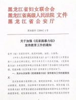 黑龙江：家庭暴力告诫制度进入2.0时代 - 妇女联合会