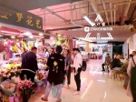 国庆期间哈尔滨花卉大市场年销花热销 蝴蝶兰等受欢迎 - 新浪黑龙江