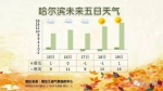 未来三天黑龙江省持续低温 哈市晚间跌至零下 - 新浪黑龙江