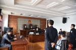 黑龙江省各地法院依法公开宣判8起涉枪犯罪案件 10人获刑 - 法院