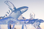 第二十届哈尔滨冰雪大世界打造奇幻王国 精彩活动燃爆冬日 - 人民政府主办