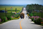 黑龙江省将建设1500公里通村硬化路 - 人民政府主办