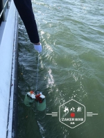 哈尔滨今年首次海葬在大连举行 137位逝者“魂归碧海” - 新浪黑龙江