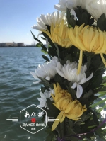 哈尔滨今年首次海葬在大连举行 137位逝者“魂归碧海” - 新浪黑龙江