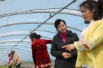 白锦婵一行调研指导驻村扶贫工作 - 妇女联合会