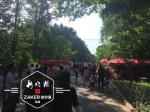 黑龙江植物园7日当天2.5万人踏青 停车场一位难求 - 新浪黑龙江