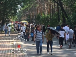 黑龙江植物园7日当天2.5万人踏青 停车场一位难求 - 新浪黑龙江