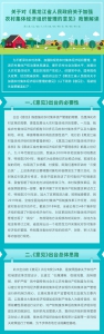【图解】关于对《黑龙江省人民政府关于加强农村集体经济组织管理的意见》 - 人民政府主办