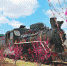 森林小火车被蒸汽机研究会专家誉为“世界级旅游珍品”。 - 新浪黑龙江