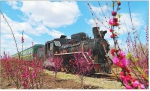 森林小火车被蒸汽机研究会专家誉为“世界级旅游珍品”。 - 新浪黑龙江