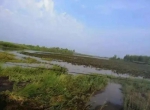 台风“利奇马”来了 黑龙江省各地严阵以待防洪度汛 - 新浪黑龙江