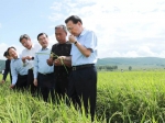 李克强在稻田里对农民说：大米里有大学问，种大米也能种出“高大上” - 人民政府主办