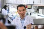 黄志伟教授团队在《自然》发文揭示人T细胞受体-共受体（TCR-CD3）复合物组装的分子机制 - 哈尔滨工业大学