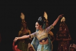 民族，舞剧 大型民族舞剧《丝路花雨》来到我校展演 - 哈尔滨工业大学