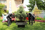 太空返回-哈工大一校三区土壤培育“问天树”仪式举行 - 哈尔滨工业大学