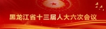 黑龙江省第十三届人民代表大会第六次会议关于黑龙江省人民检察院工作报告的决议 - 检察
