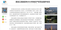 新华网：黑龙江高院发布2022年知识产权司法保护状况 - 法院