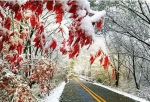 凤凰山雪景 - 新浪黑龙江