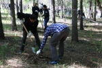 佳木斯中院参加义务植树活动 - 法院