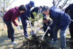 我为兴安添新绿 ——大兴安岭中院开展义务植树主题党日活动 - 法院