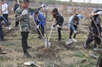 抚远市法院：根植梦想种下希望 助力“五四”青年节 - 法院