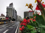 冰城立秋即景：雨中收夏色 三伏享清凉 - 新浪黑龙江